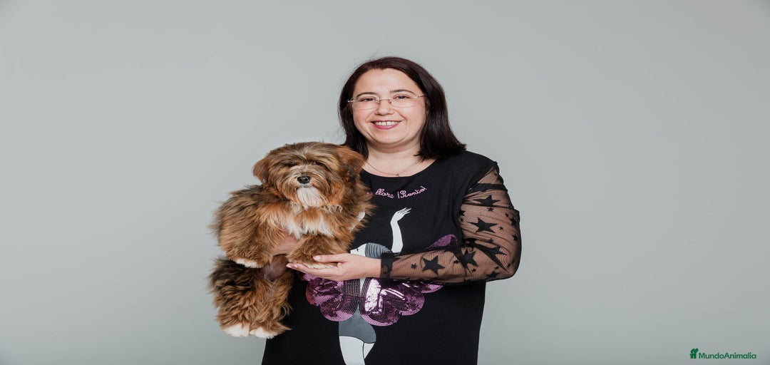 Imagen de galería {{count}}