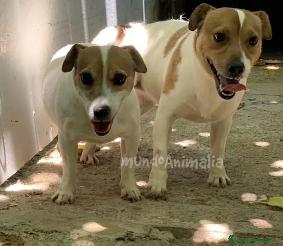 Imagen de galería {{count}}