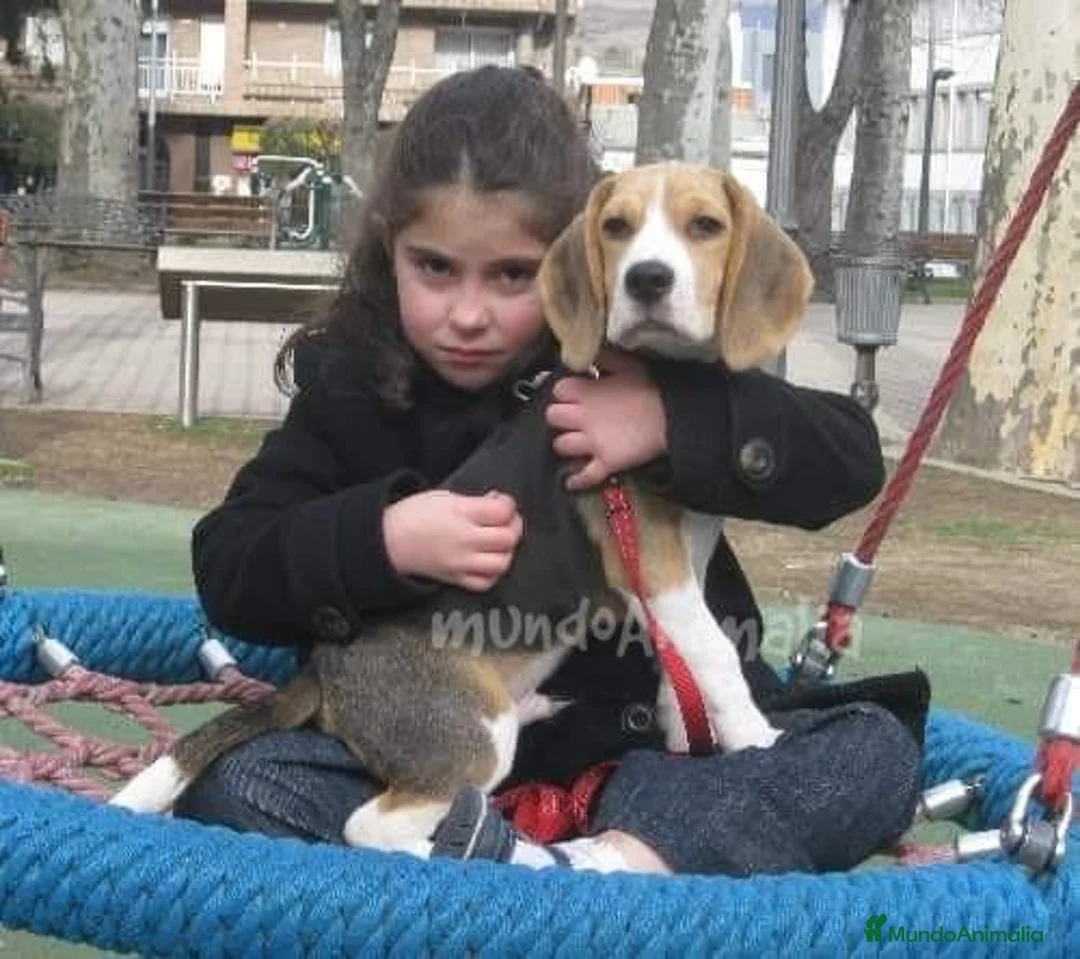 Imagen de galería {{count}}