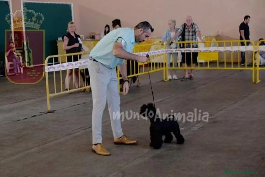 Imagen de galería {{count}}