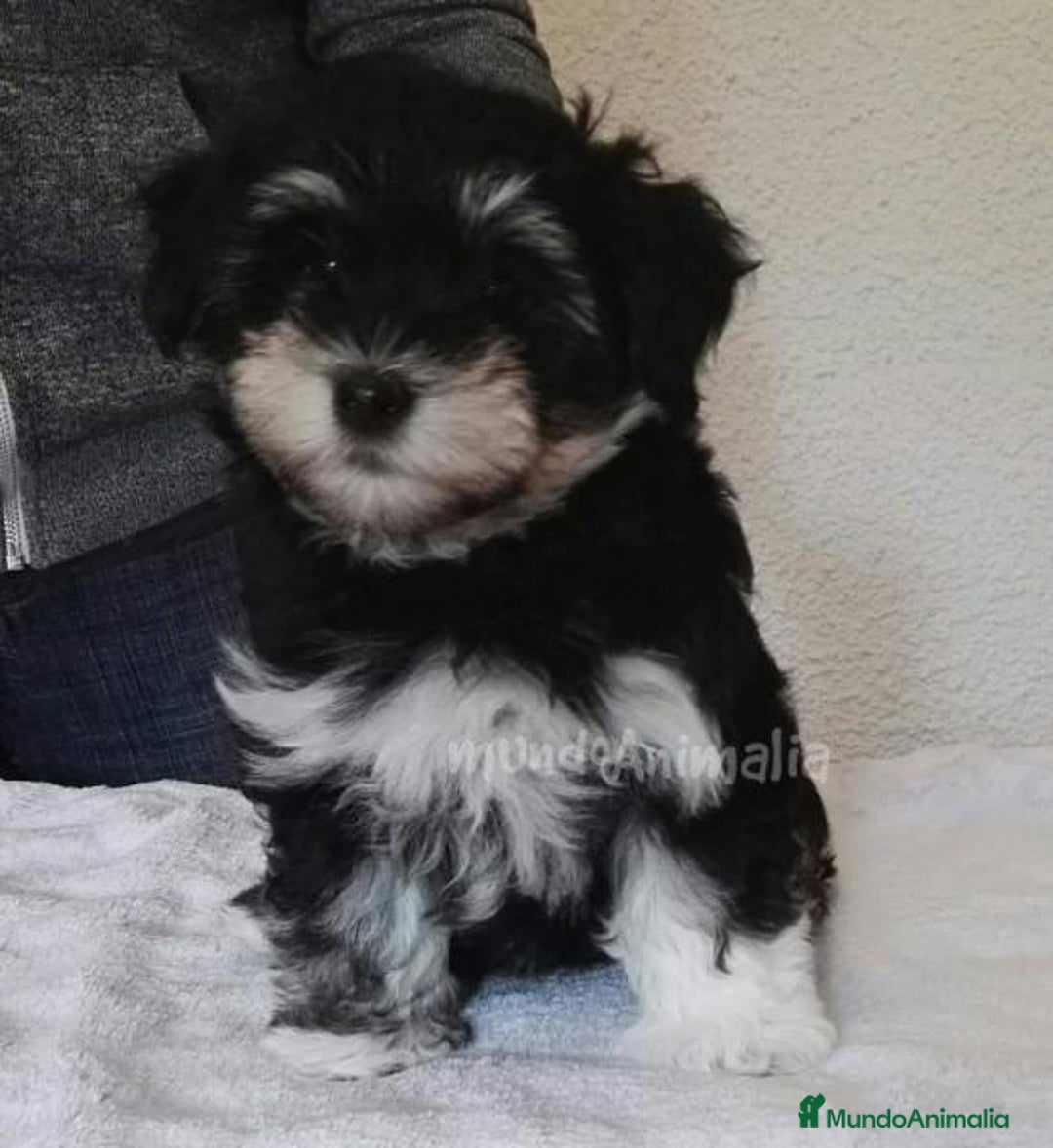 Imagen de galería {{count}}