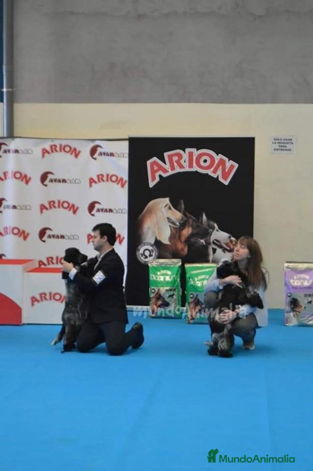 Imagen de galería {{count}}