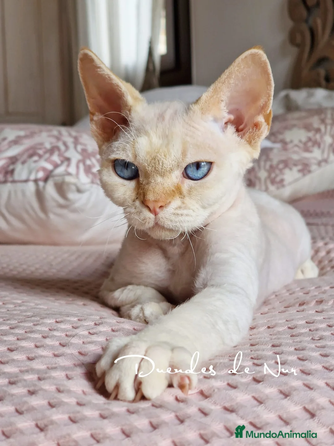 Imagen de galería {{count}}