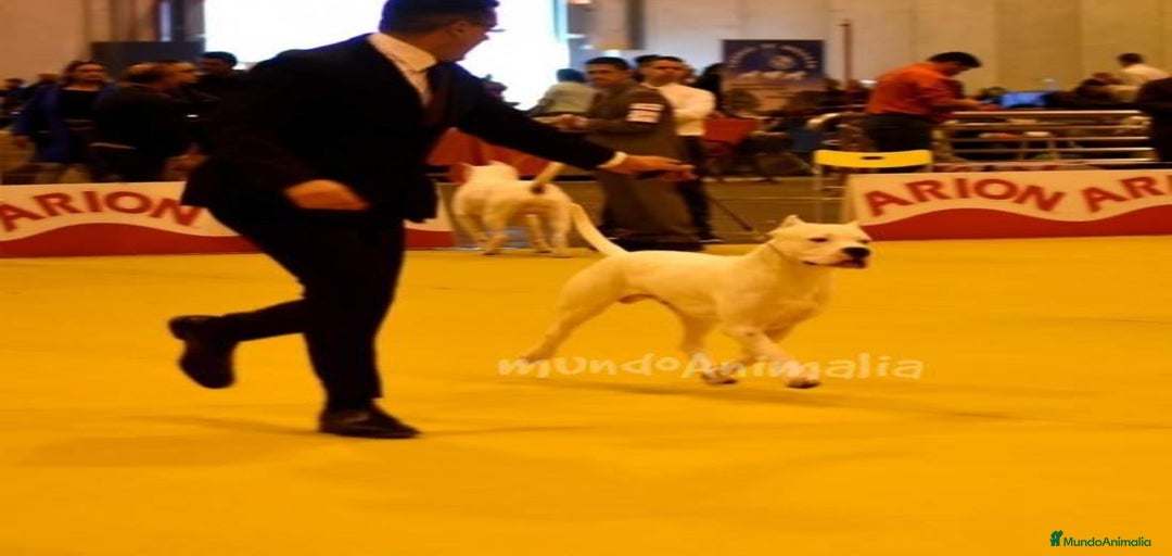 Imagen de galería {{count}}