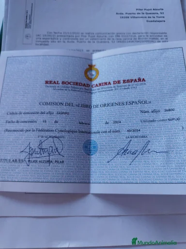 Imagen de galería {{count}}