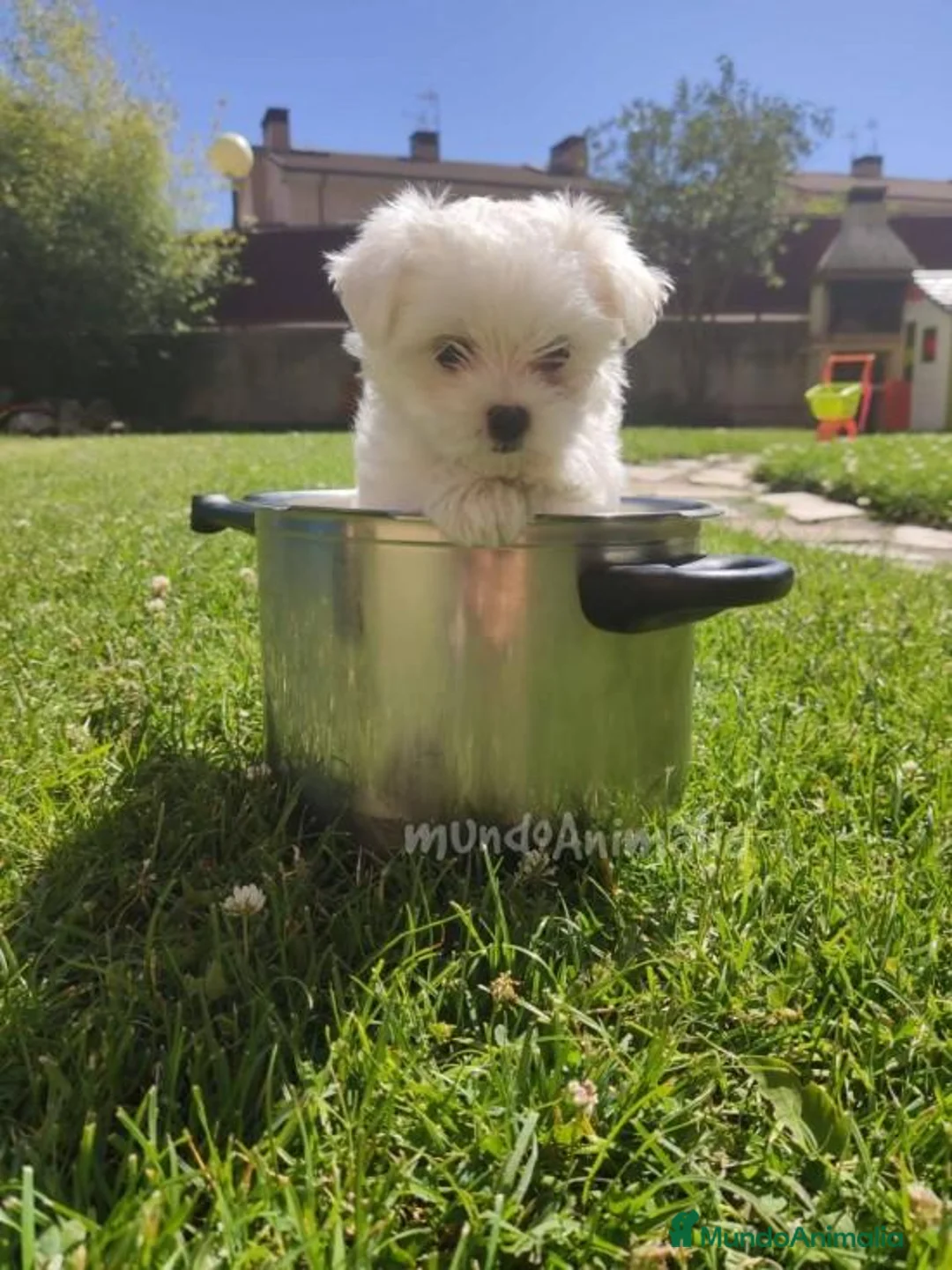 Imagen de galería {{count}}