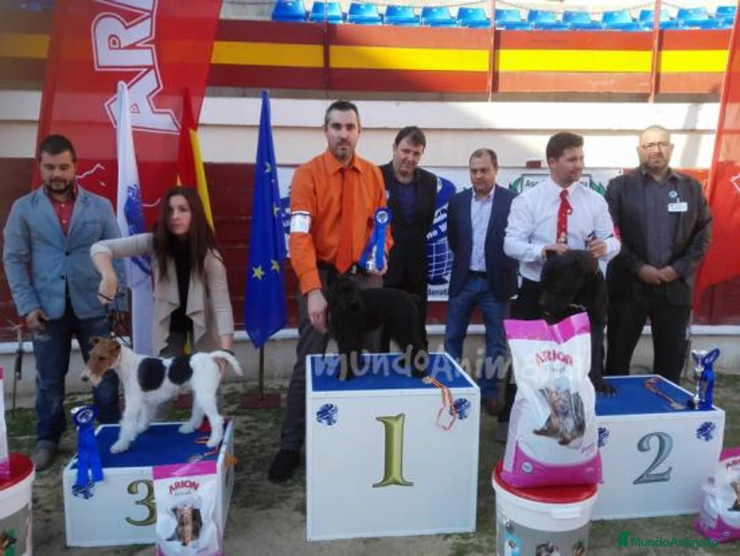 Imagen de galería {{count}}