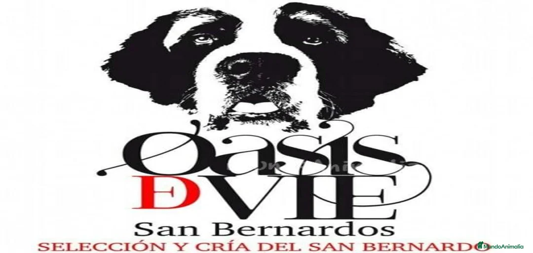 Imagen de galería {{count}}