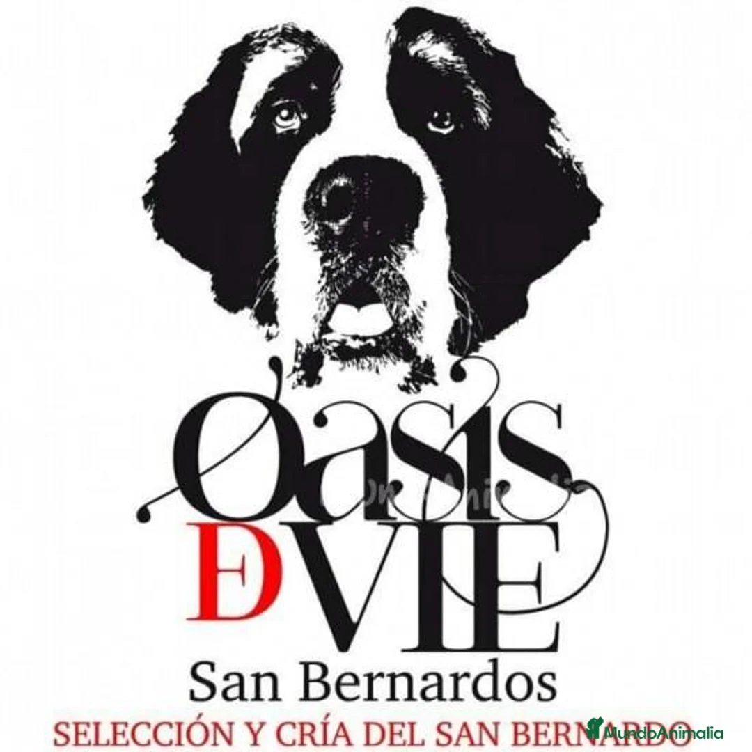 Imagen de galería {{count}}