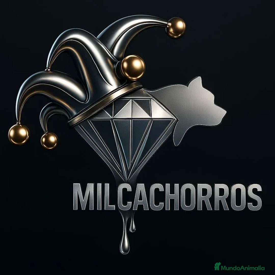 Imagen de galería {{count}}