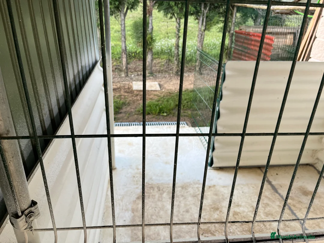 Imagen de galería {{count}}