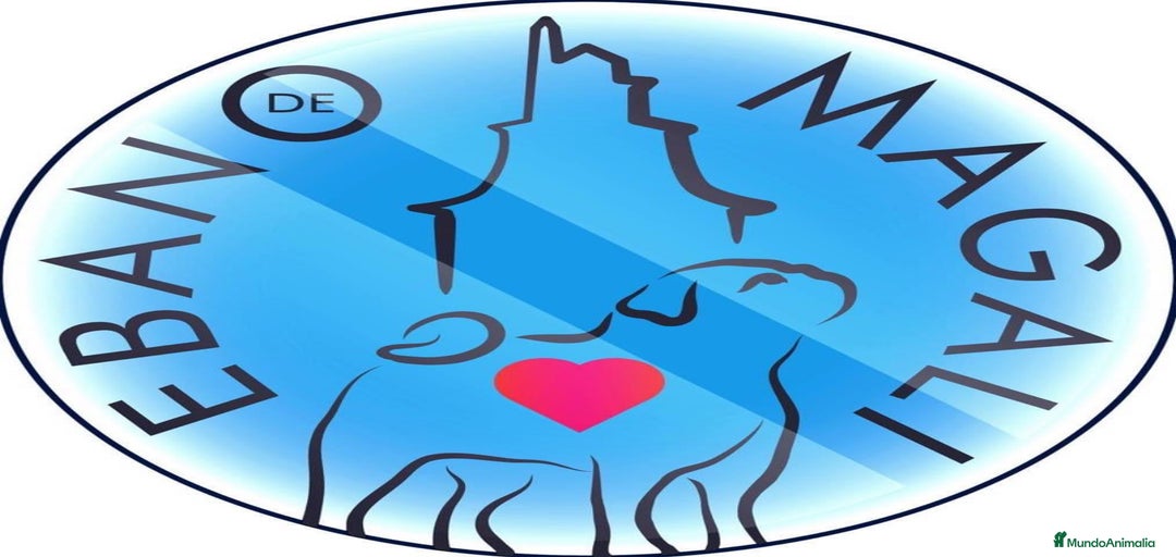 Imagen de galería {{count}}