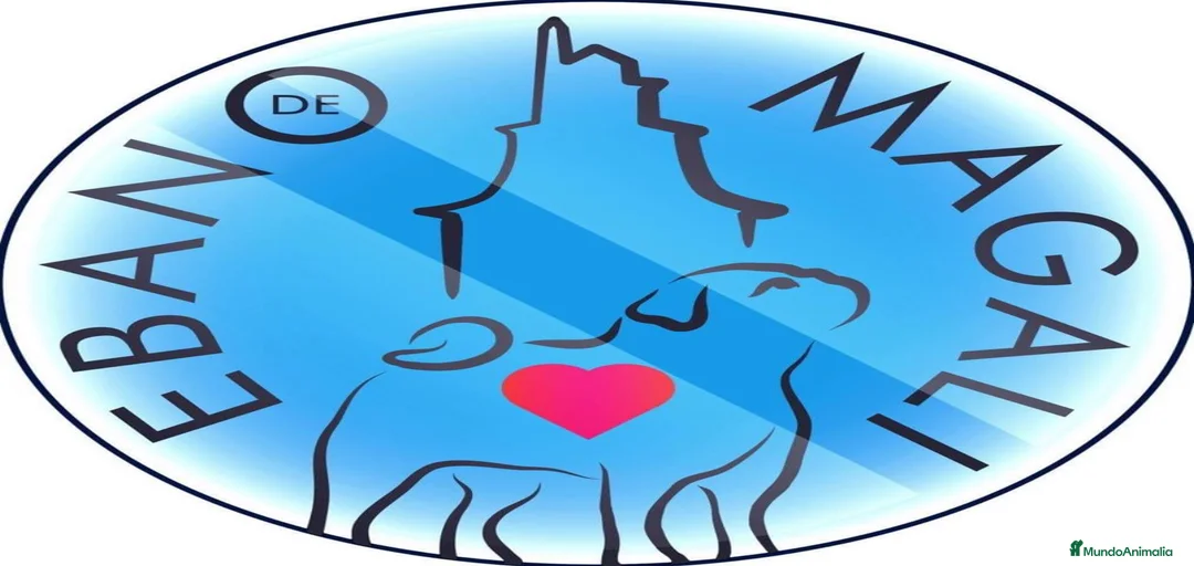 Imagen de galería {{count}}