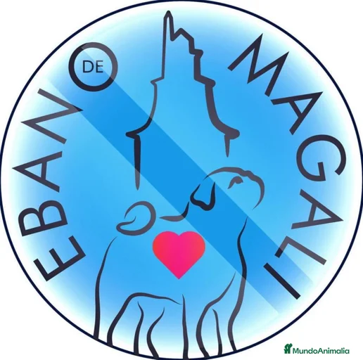 Imagen de galería {{count}}