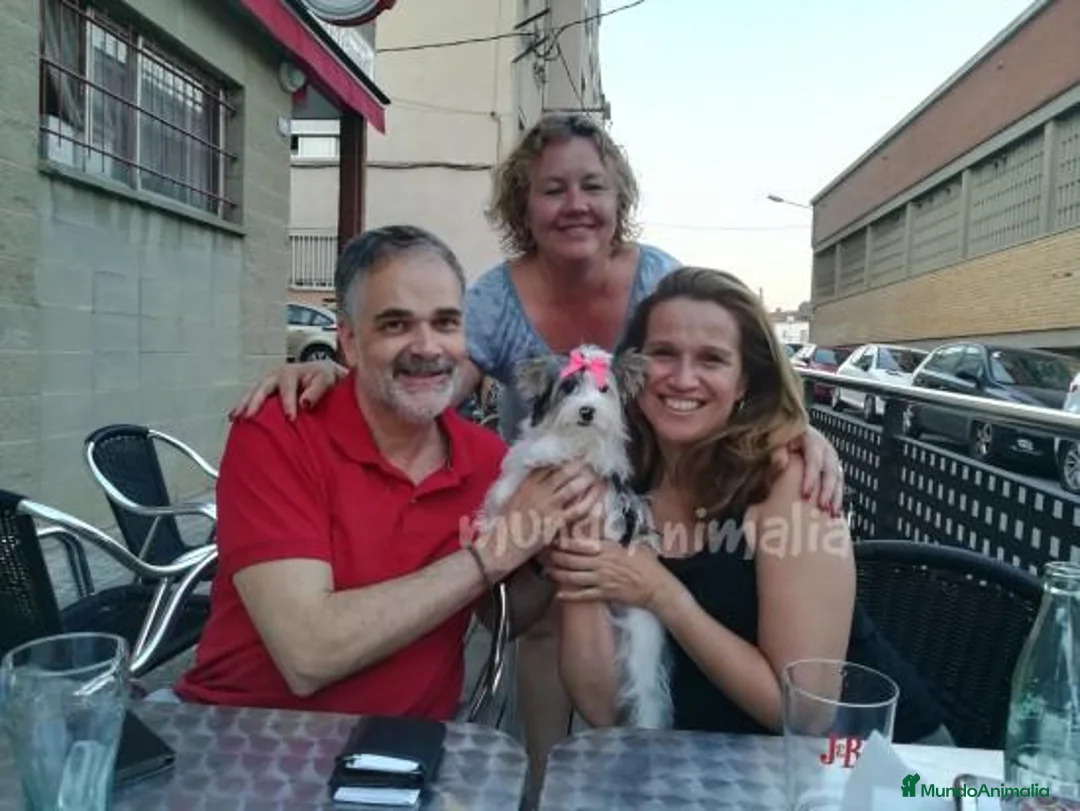 Imagen de galería {{count}}