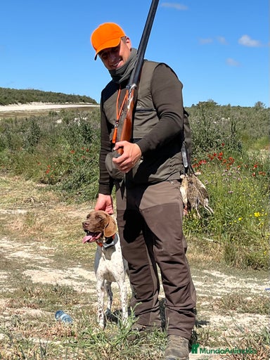 Imagen de galería {{count}}