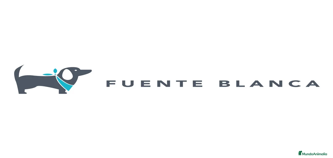 Imagen de galería {{count}}