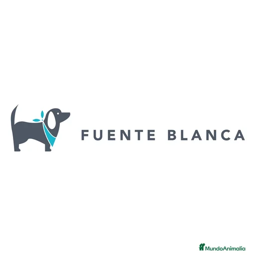 Imagen de galería {{count}}