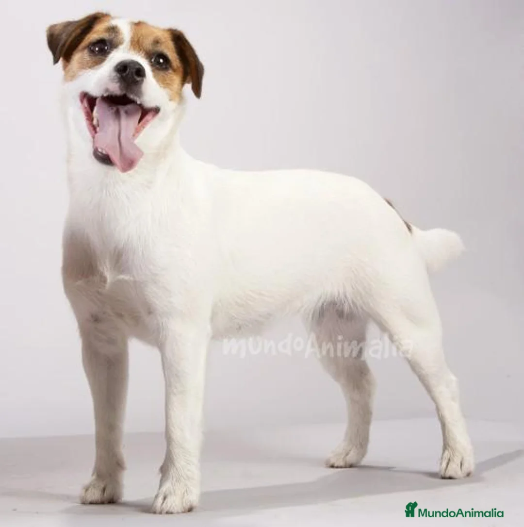 Imagen de galería {{count}}