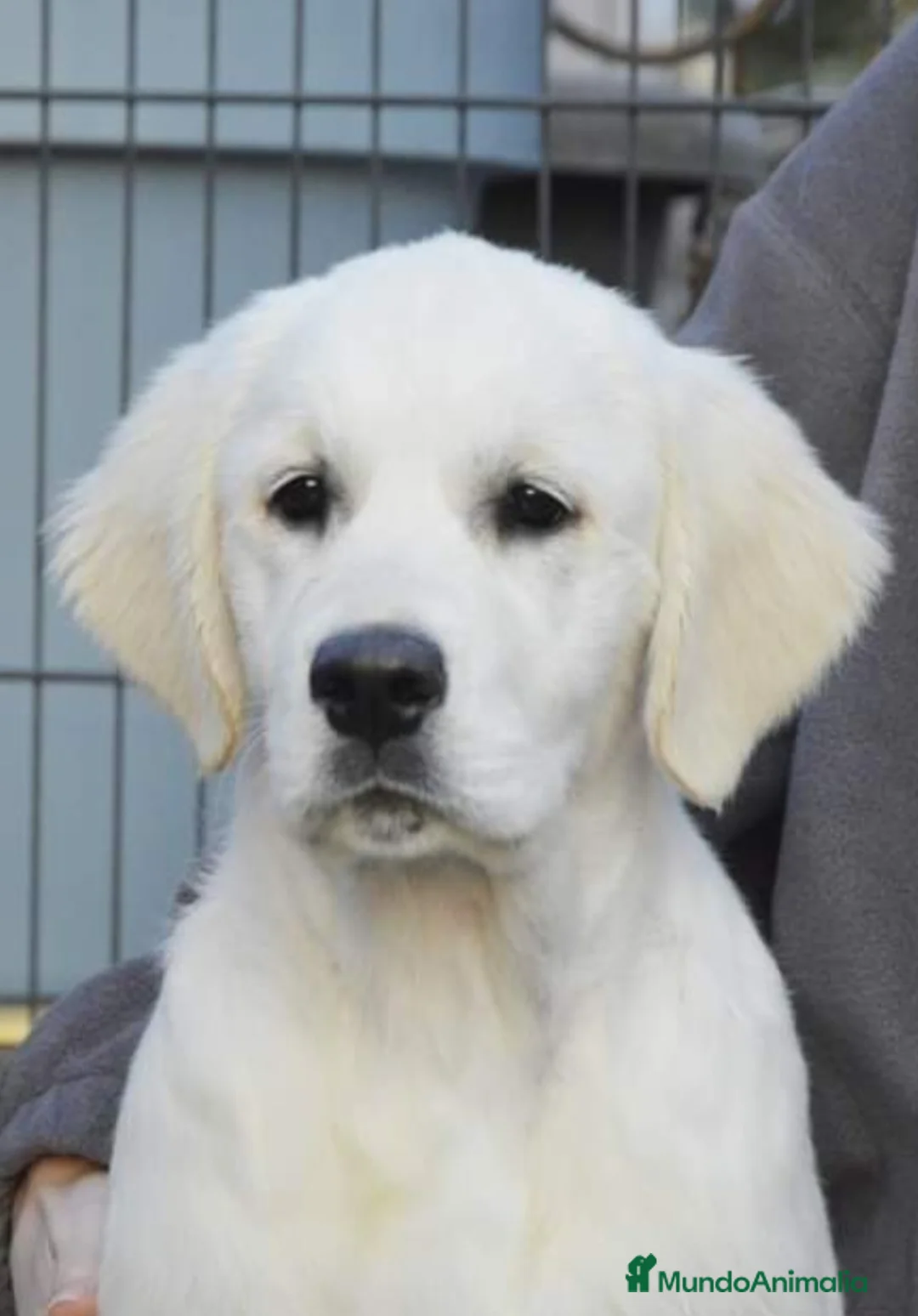 Imagen de galería {{count}}