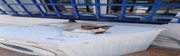 Raza Mixta gatos en venta: Regalo gatitos - Anuncio 2