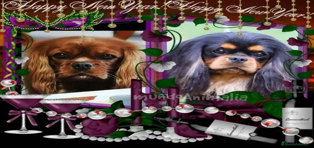 Imagen de galería {{count}}