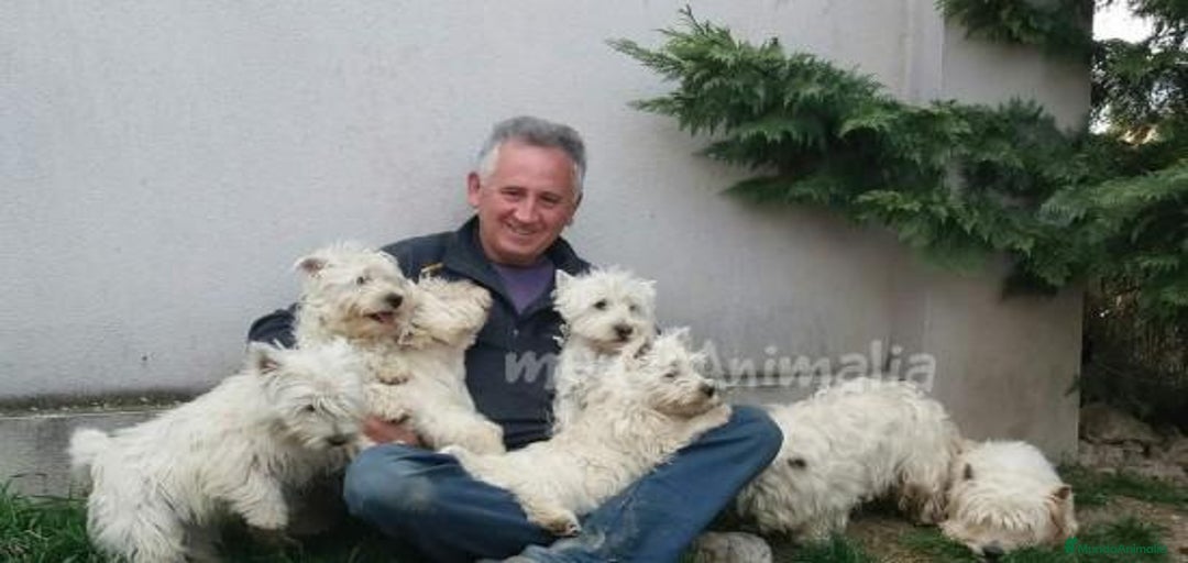 Imagen de galería {{count}}