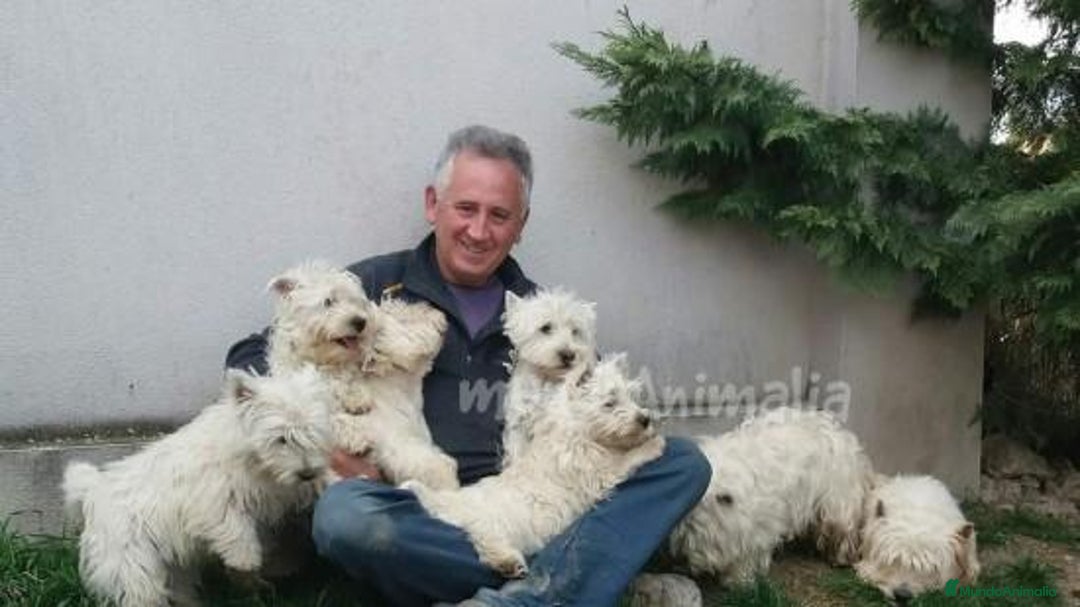 Imagen de galería {{count}}