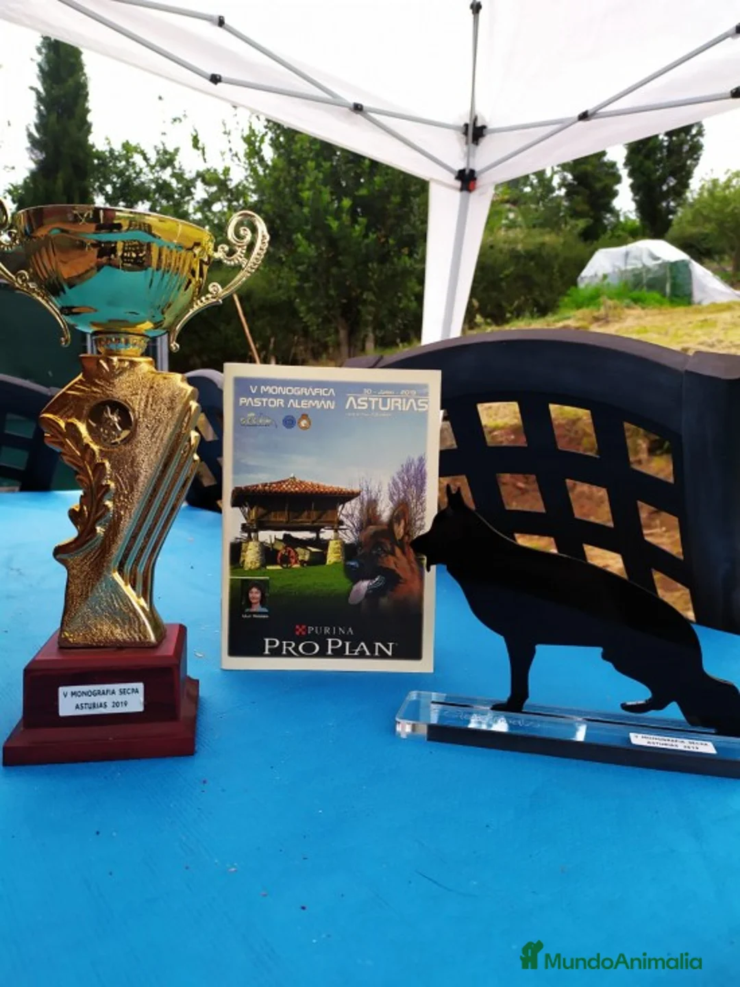 Imagen de galería {{count}}