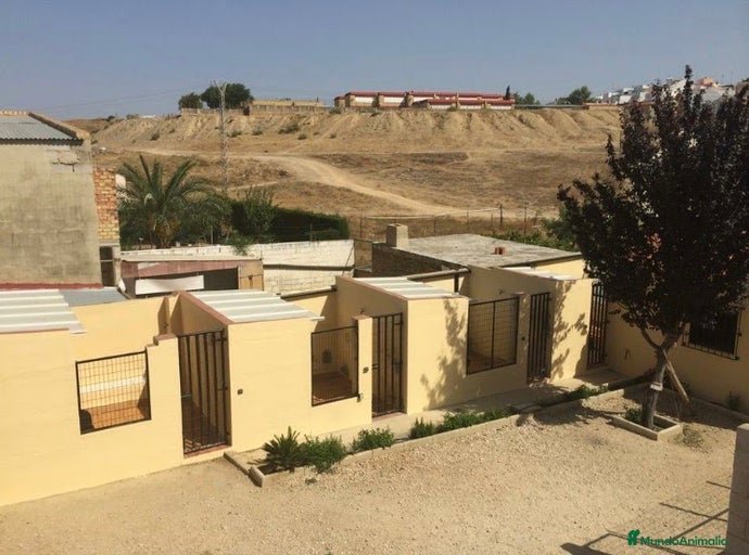 Imagen de galería {{count}}