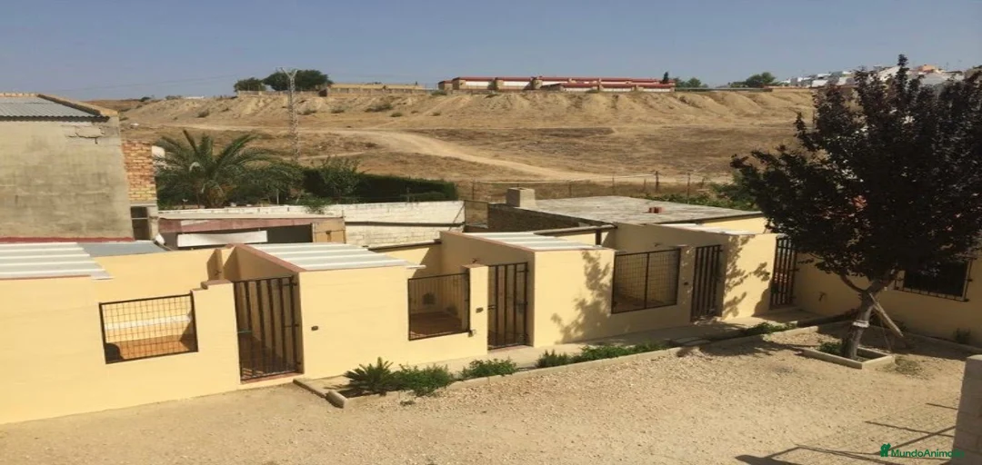 Imagen de galería {{count}}