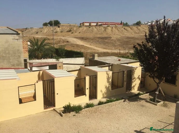 Imagen de galería {{count}}