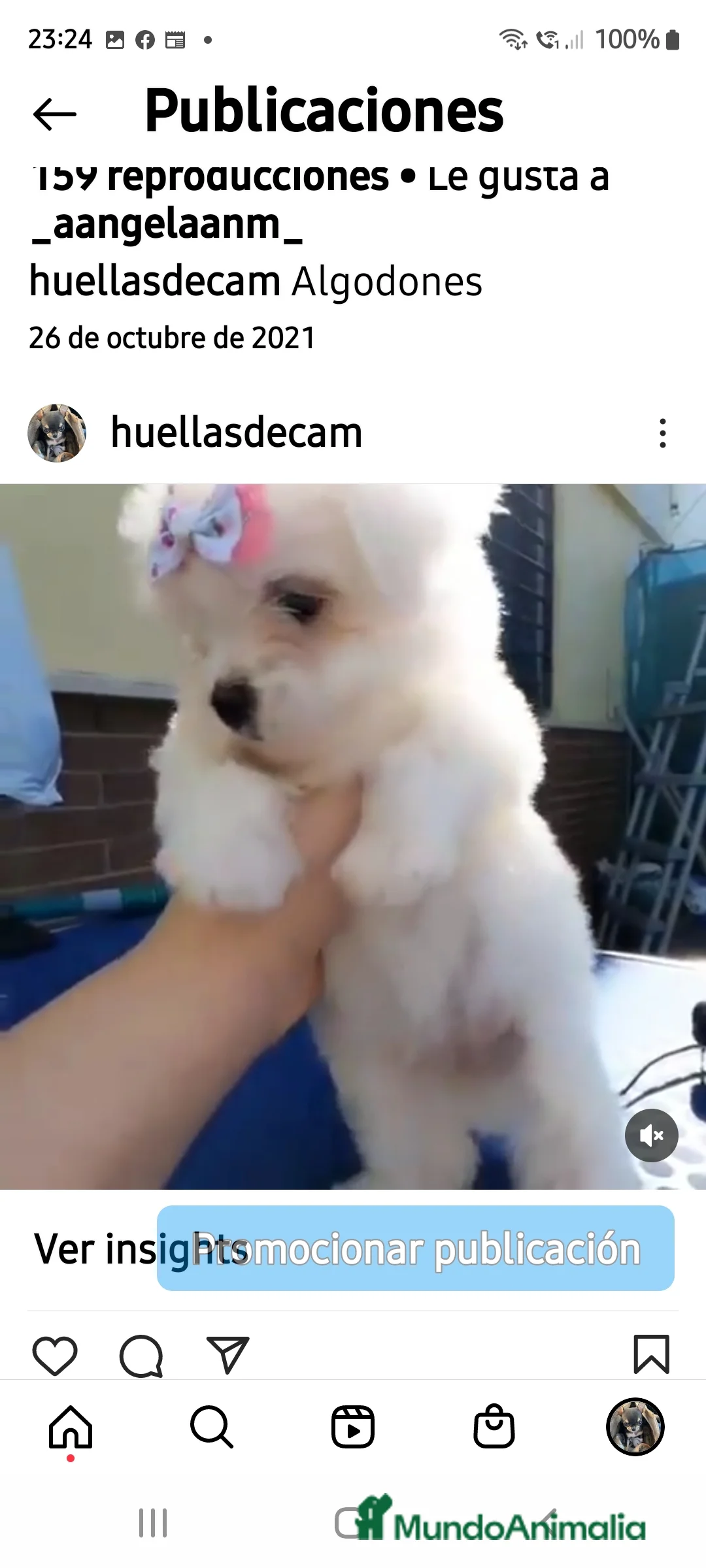 Imagen de galería {{count}}