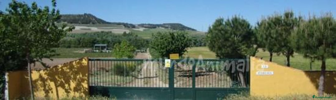 Imagen de galería {{count}}