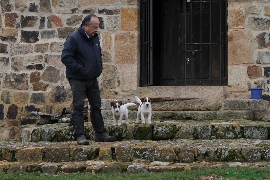 Imagen de galería {{count}}