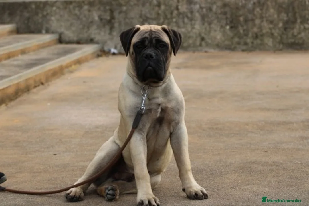 Imagen de galería {{count}}