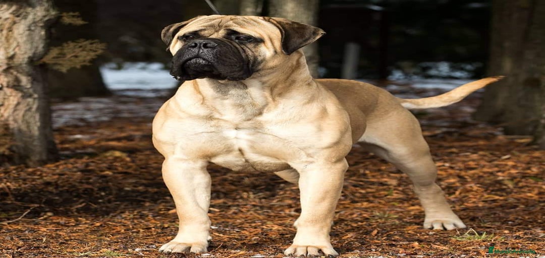 Imagen de galería {{count}}