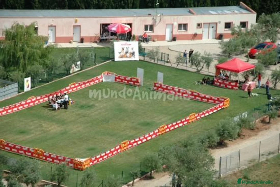 Imagen de galería {{count}}