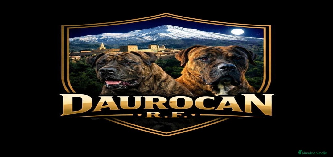 Imagen de galería {{count}}