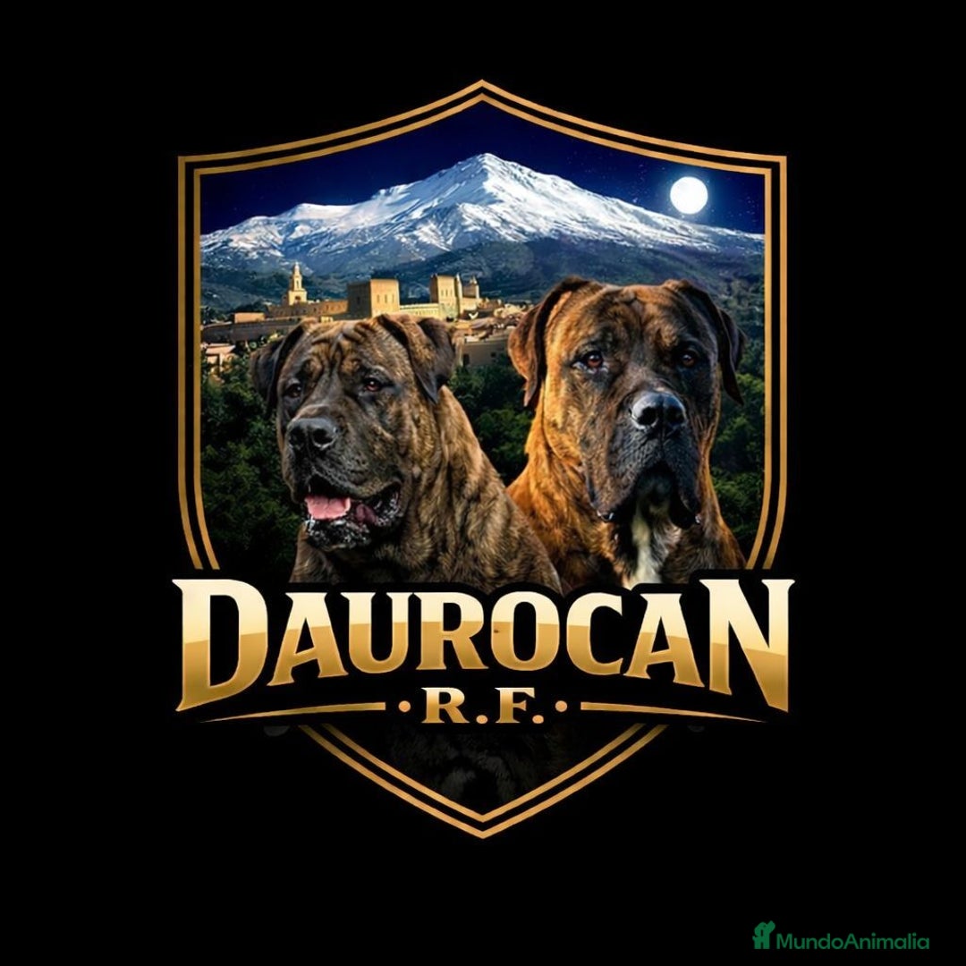 Imagen de galería {{count}}