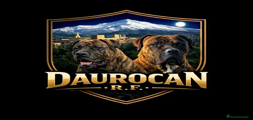 Imagen de galería {{count}}