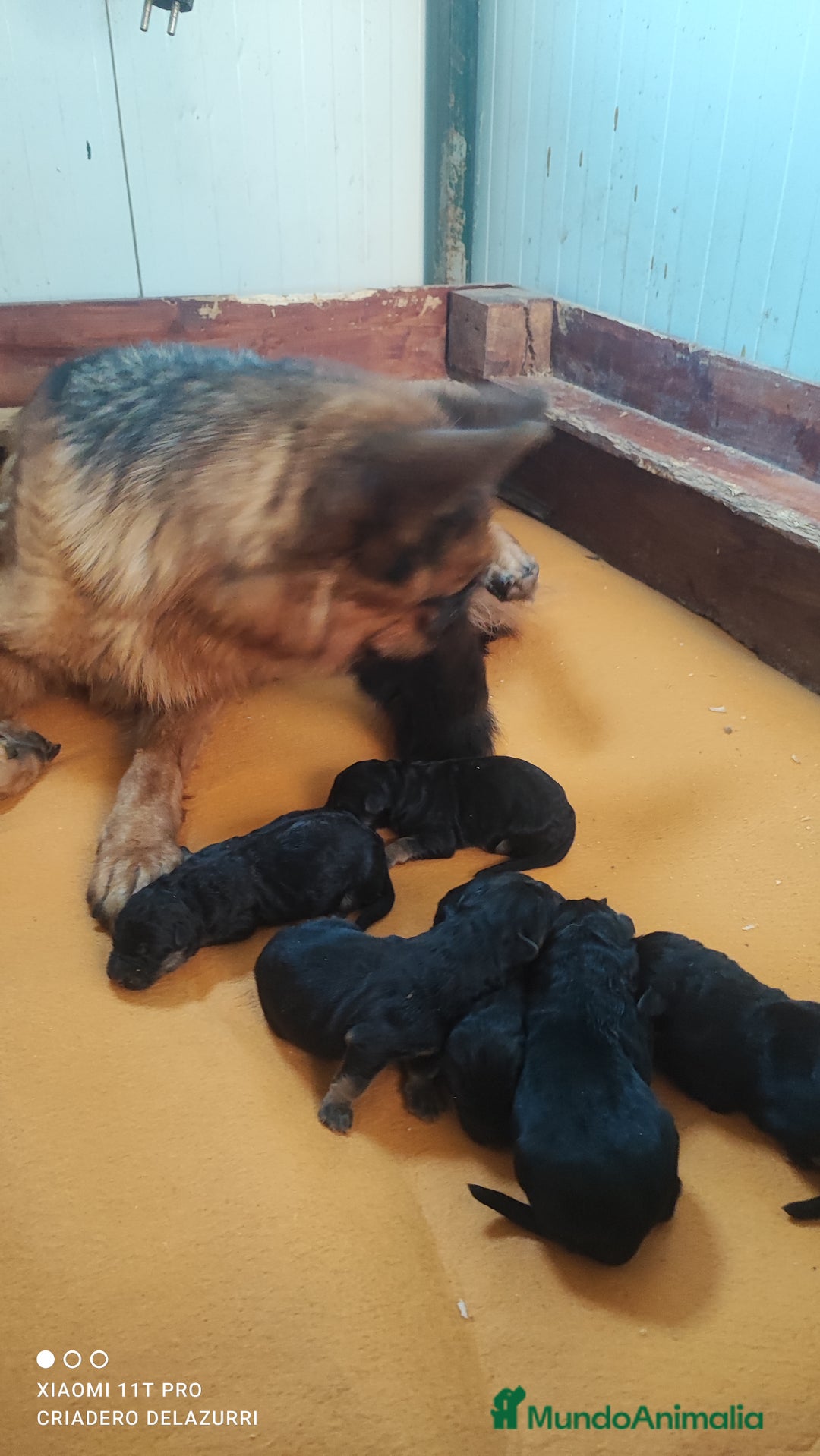 Imagen de galería {{count}}