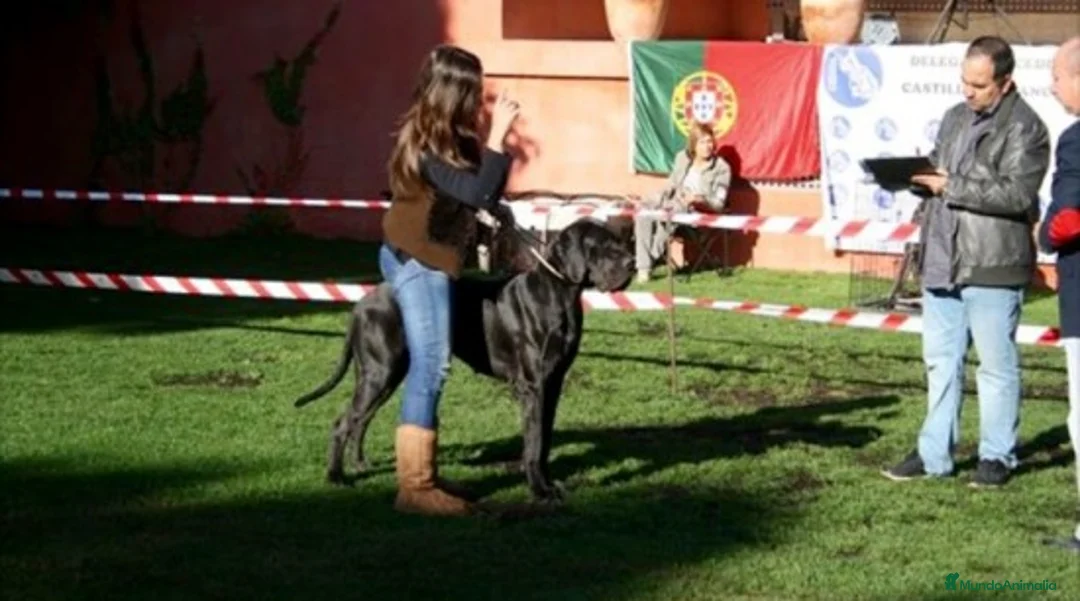 Imagen de galería {{count}}