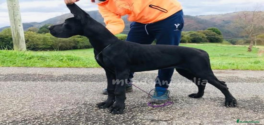 Imagen de galería {{count}}