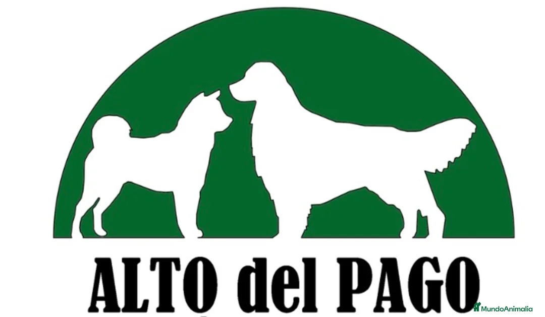 Imagen de galería {{count}}