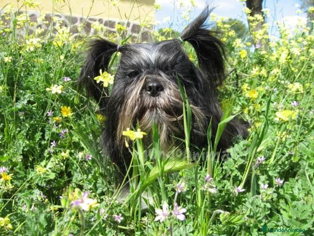 Imagen de galería {{count}}