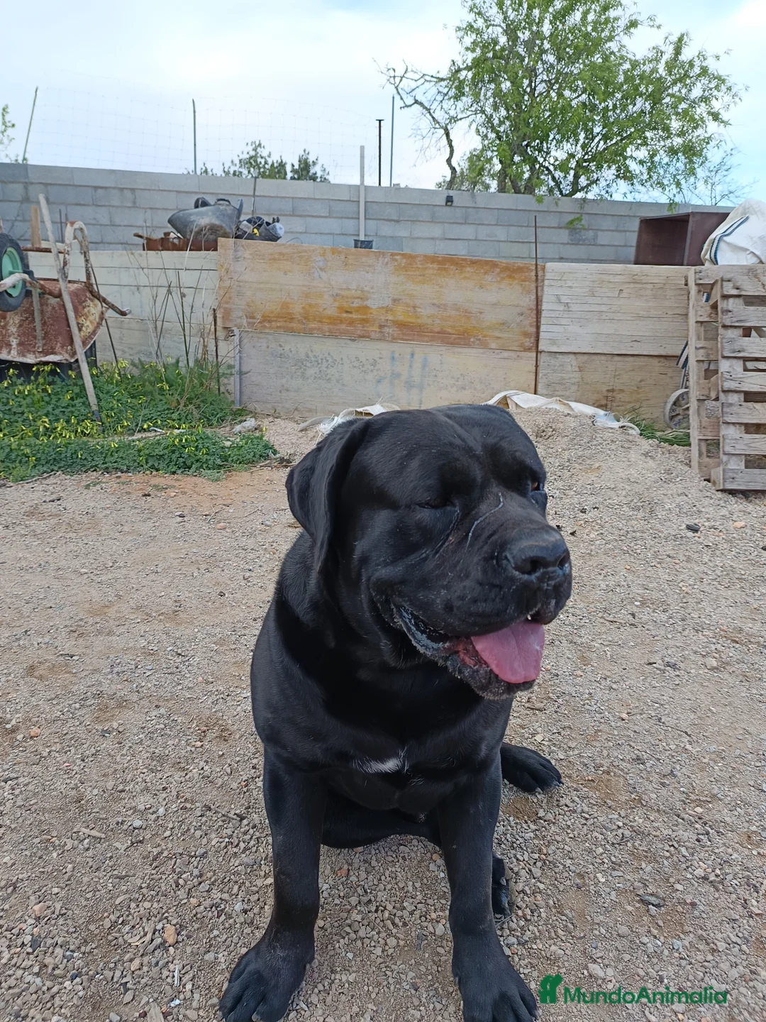 Imagen de galería {{count}}