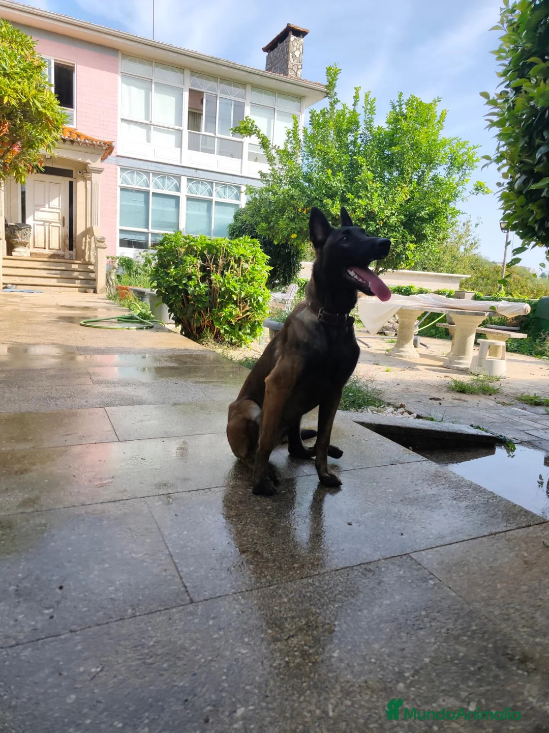 Imagen de galería {{count}}