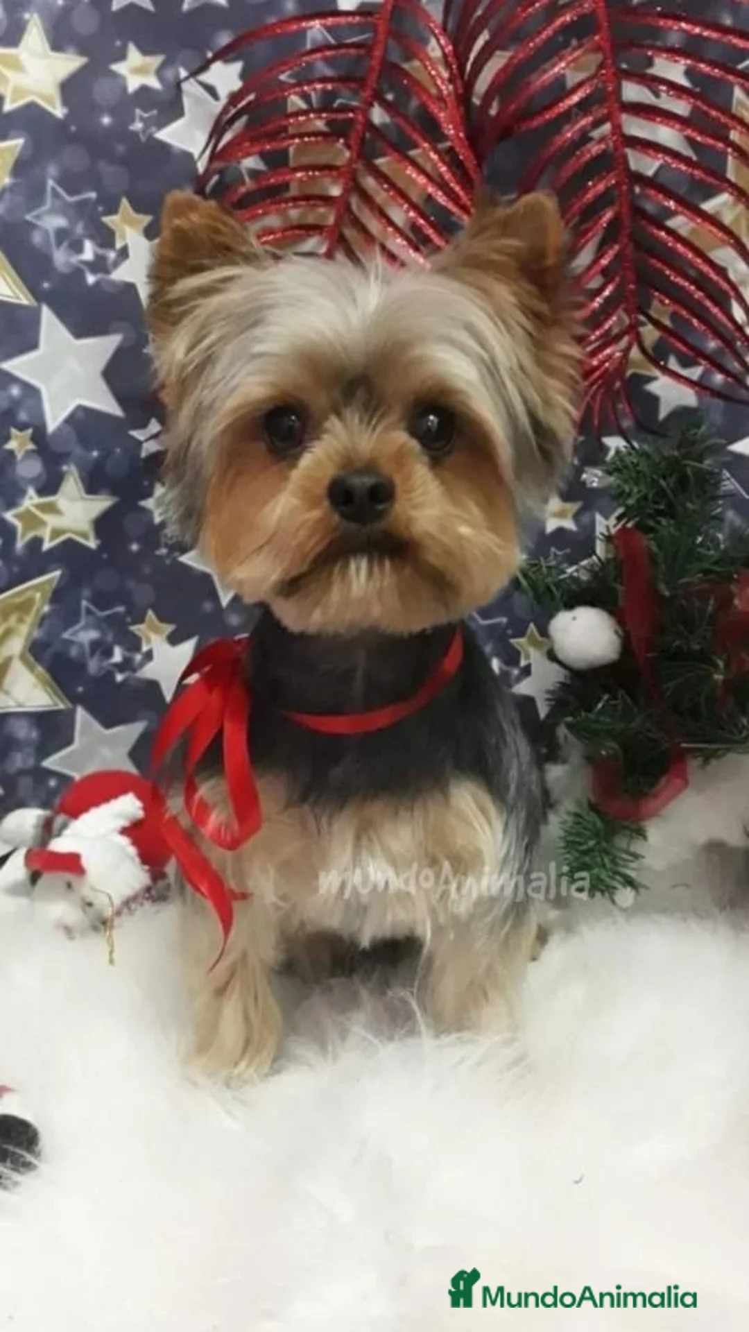 Imagen de galería {{count}}