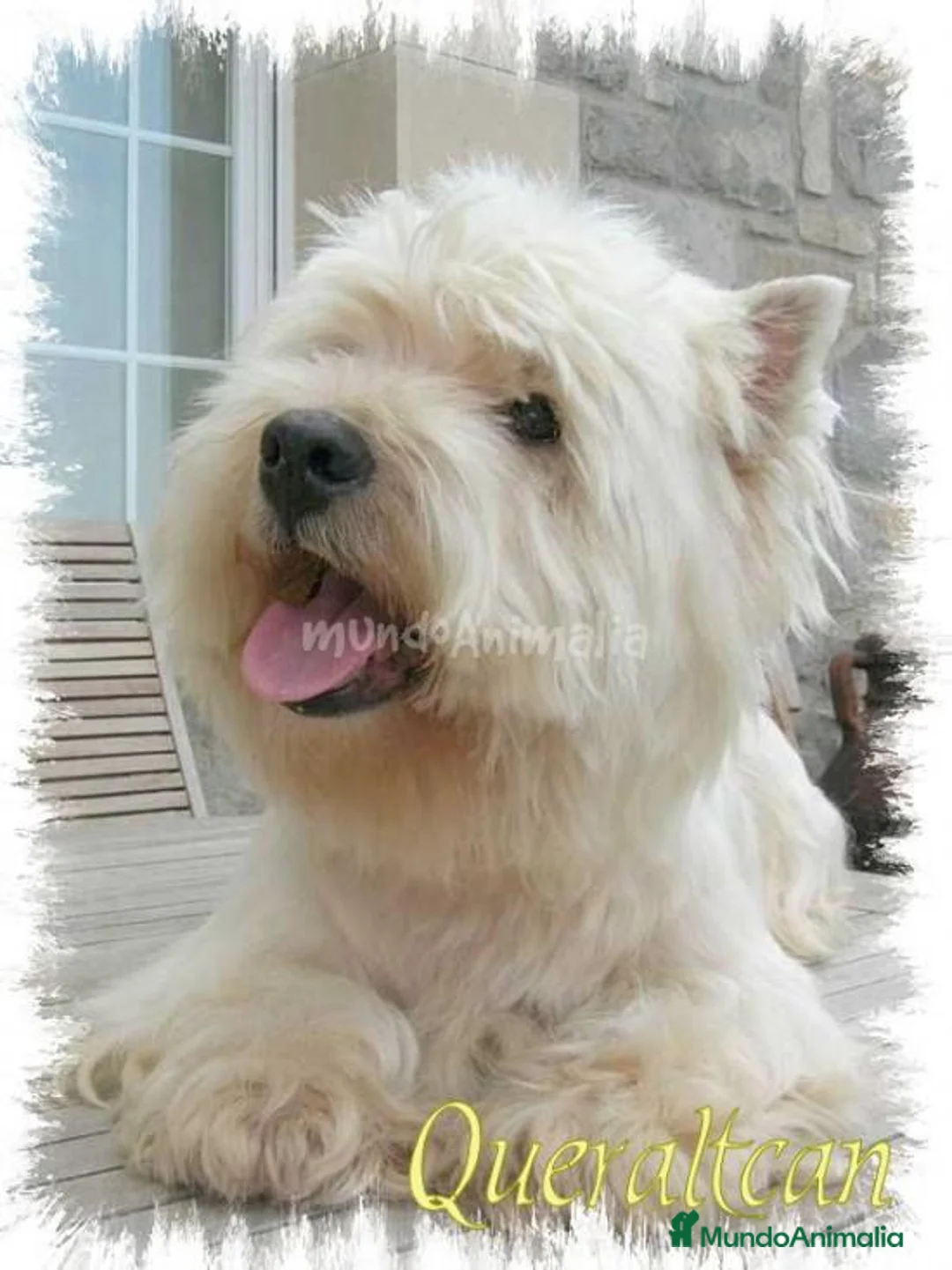 Imagen de galería {{count}}